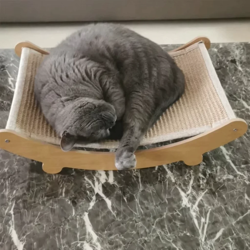 cat scratcher